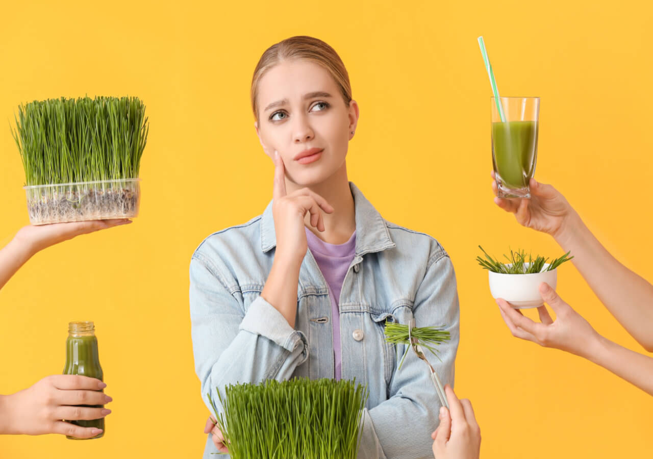 Wheatgrass – Health Benefits, Nutrition & Weight Loss