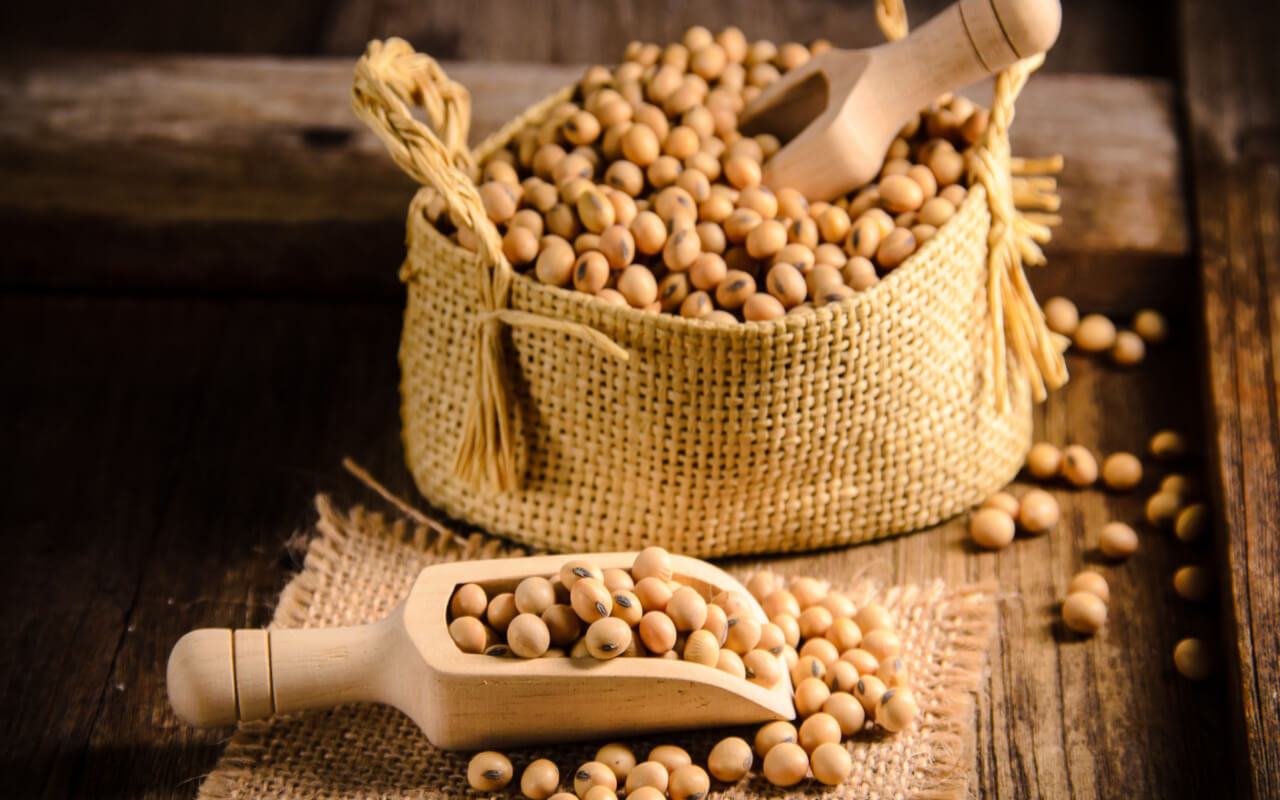 Soybean – Health Benefits, Nutrition Value & Recipes