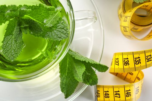 Mint Facilitates Weight Loss