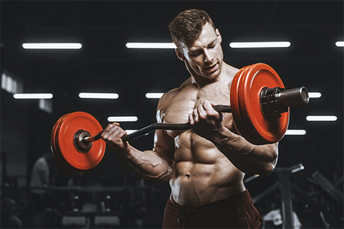 Barbell Biceps Curls