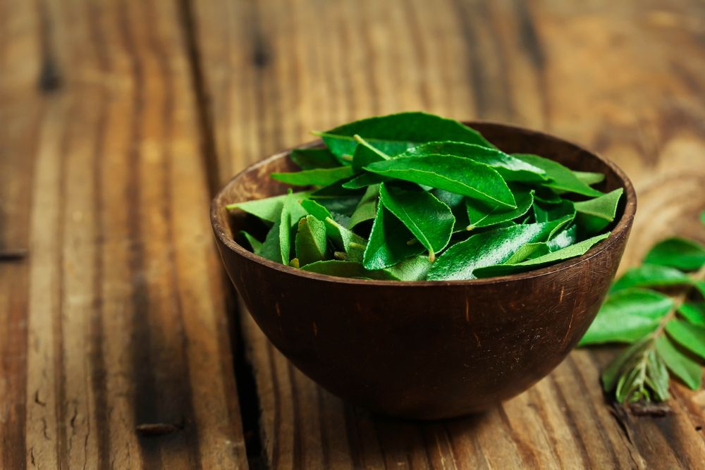 Curry Leaves – Benefits, Nutrition, and Recipes