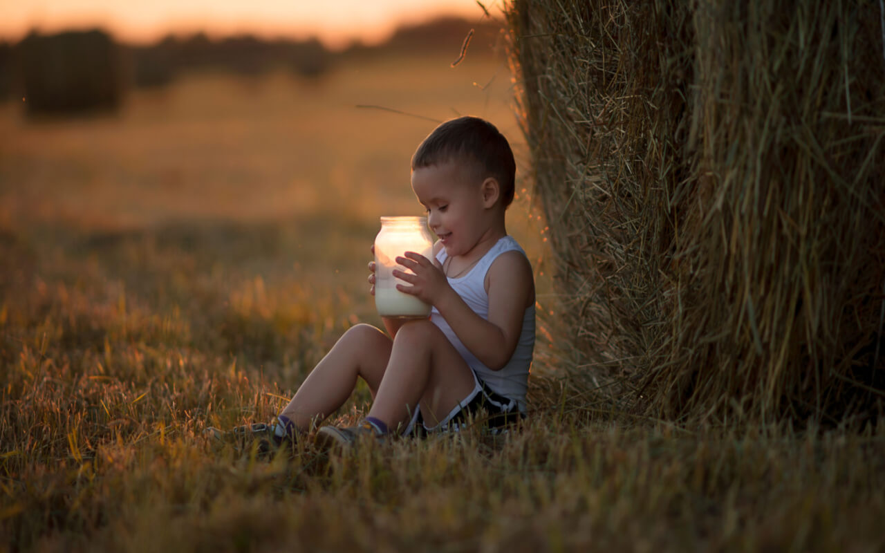 Toned Milk – Types, Nutrition, Benefits, and Recipes