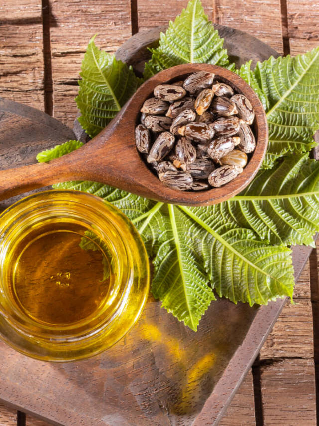 7 Amazing Health Benefits of Castor Oil