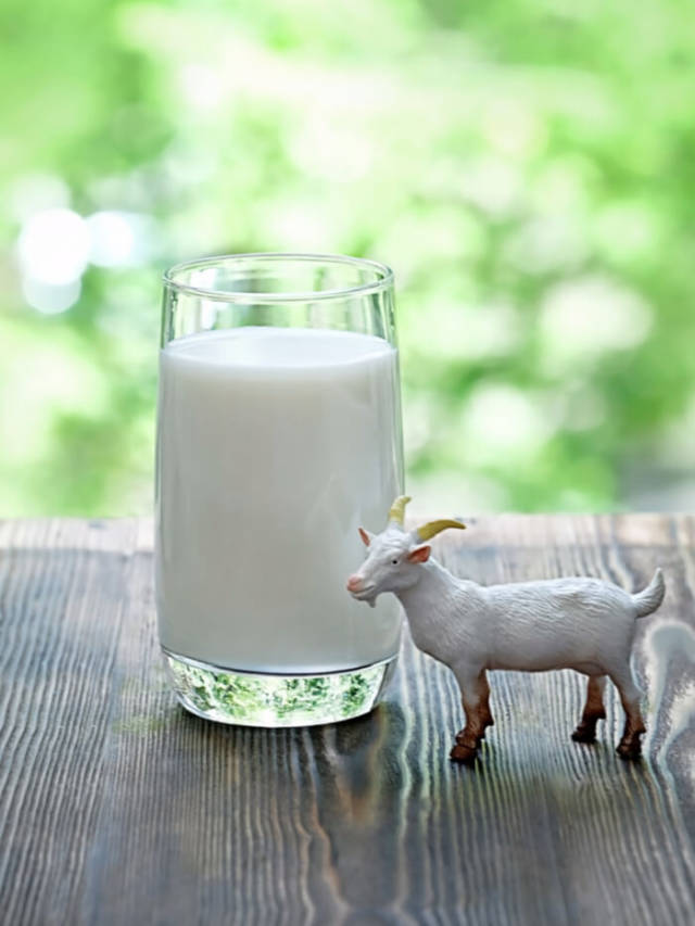 10 Benefits of Goat Milk