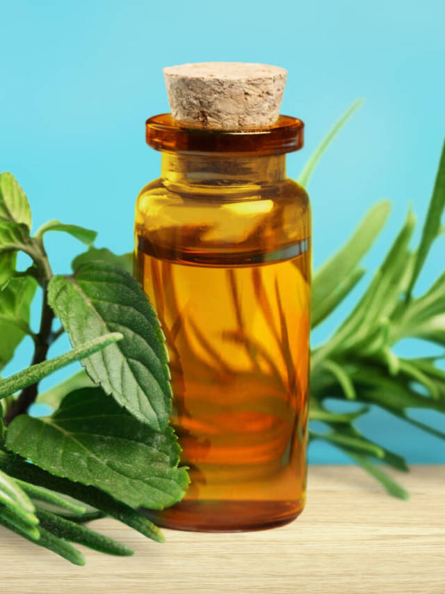 Top 4 Essential Oils for High Blood Pressure