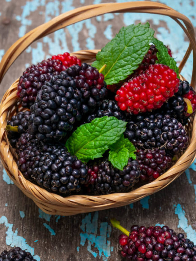 10 Health Benefits of Mulberries