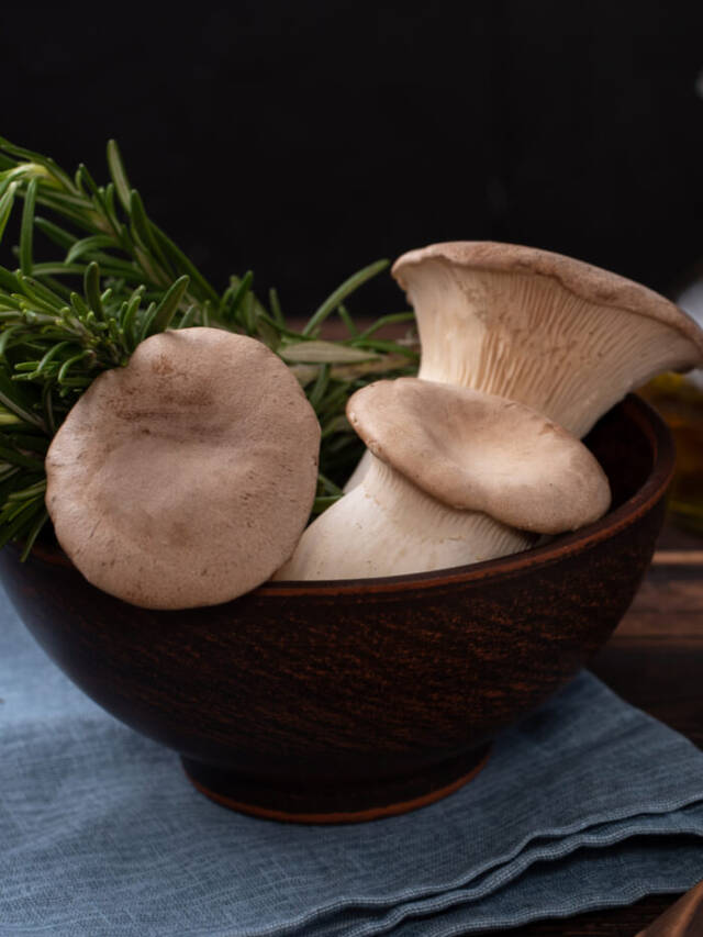 cropped-Oyster-Mushrooms-1-1.jpg