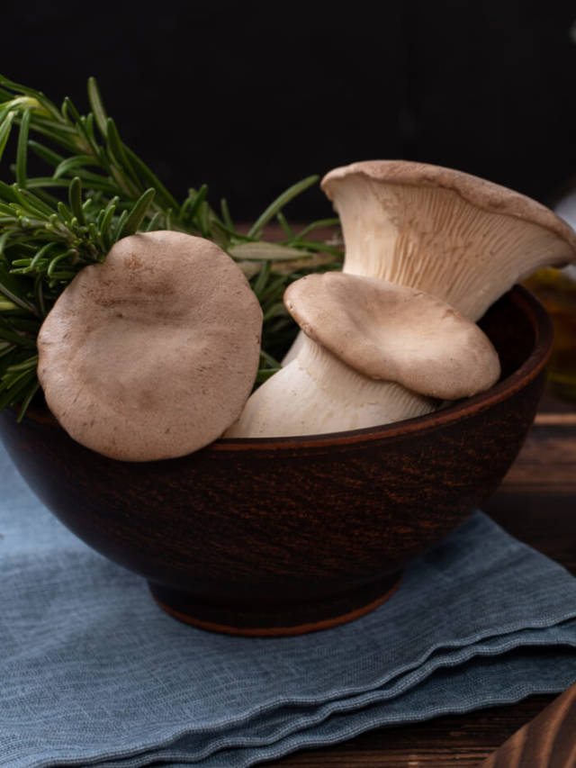 6 Health Benefits of Oyster Mushrooms