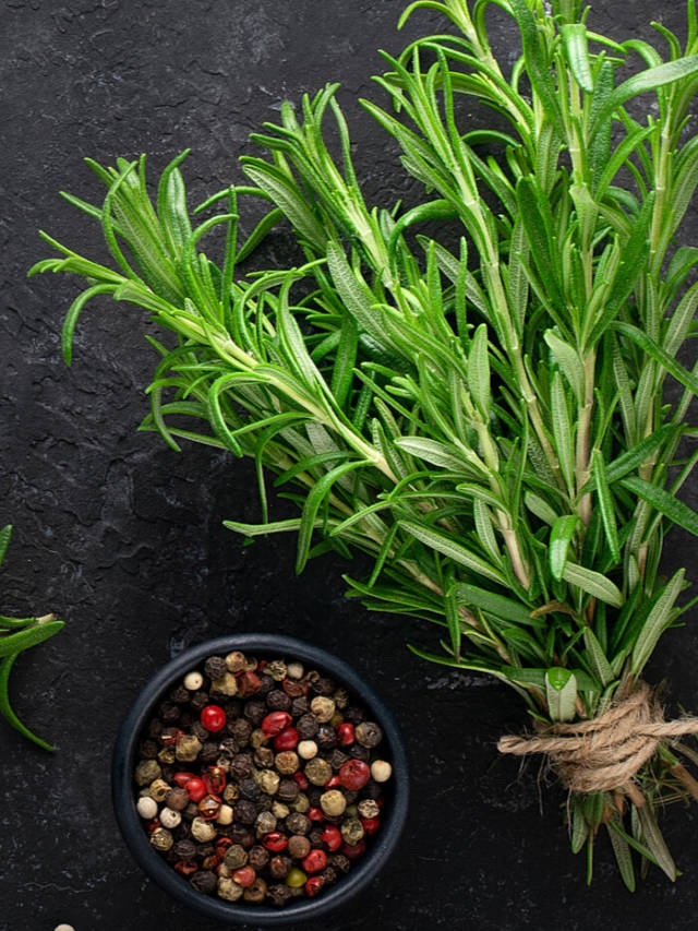 5 Health Benefits of Rosemary