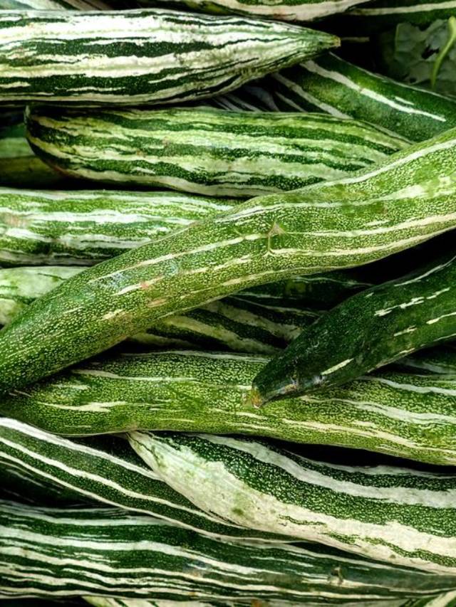 6 Health Benefits of Snake Gourd