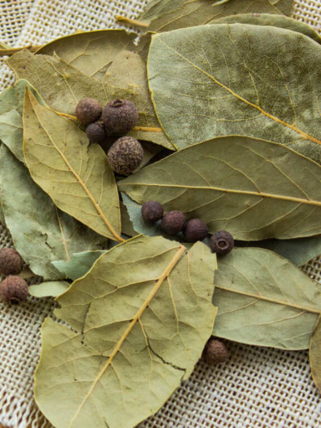 9 Health Benefits of Bay Leaves