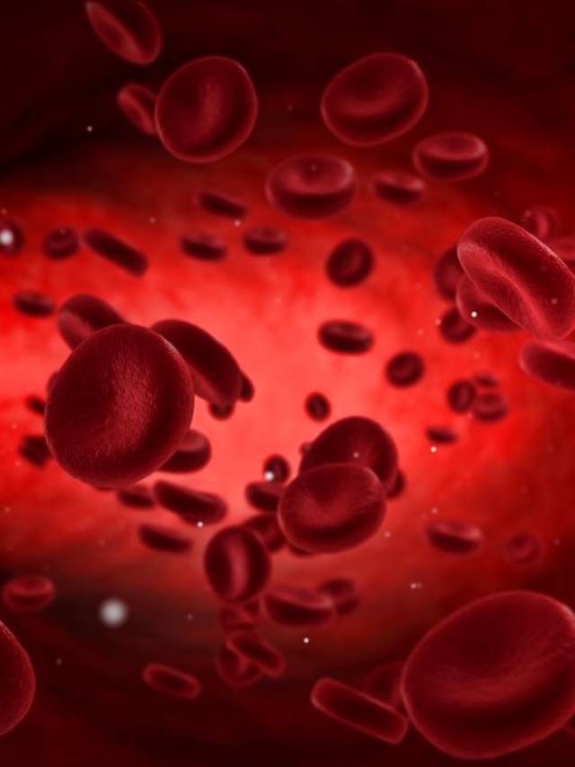 12 Foods and Beverages for Healthy Arteries
