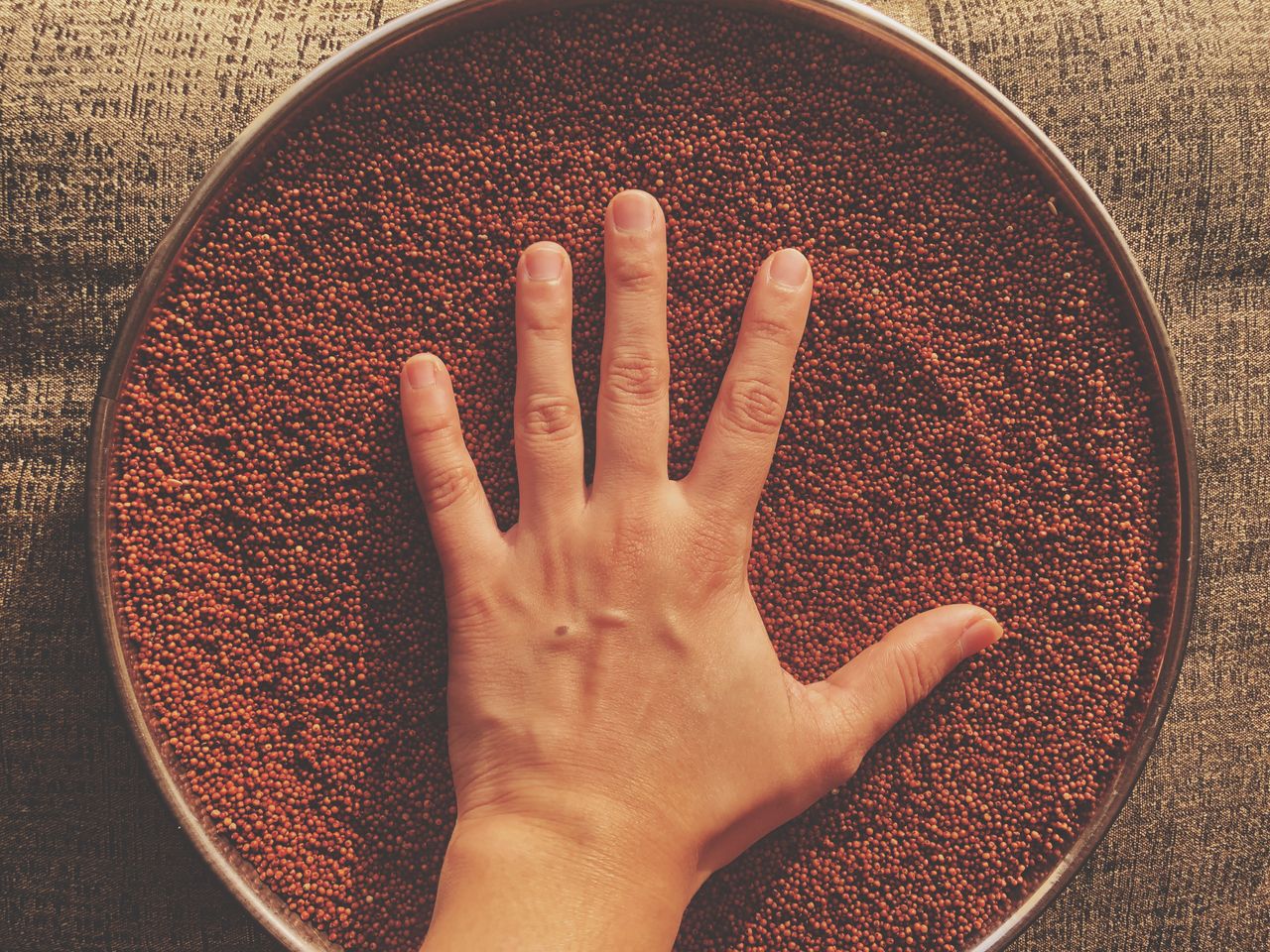 Is Ragi Good for Diabetes? Find Out.