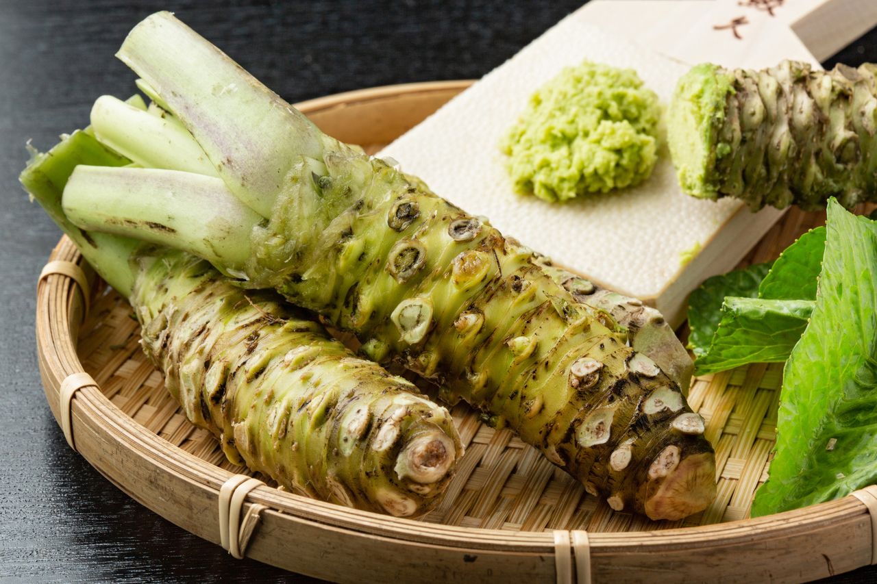 Wasabi: Your go-to Vegetable
