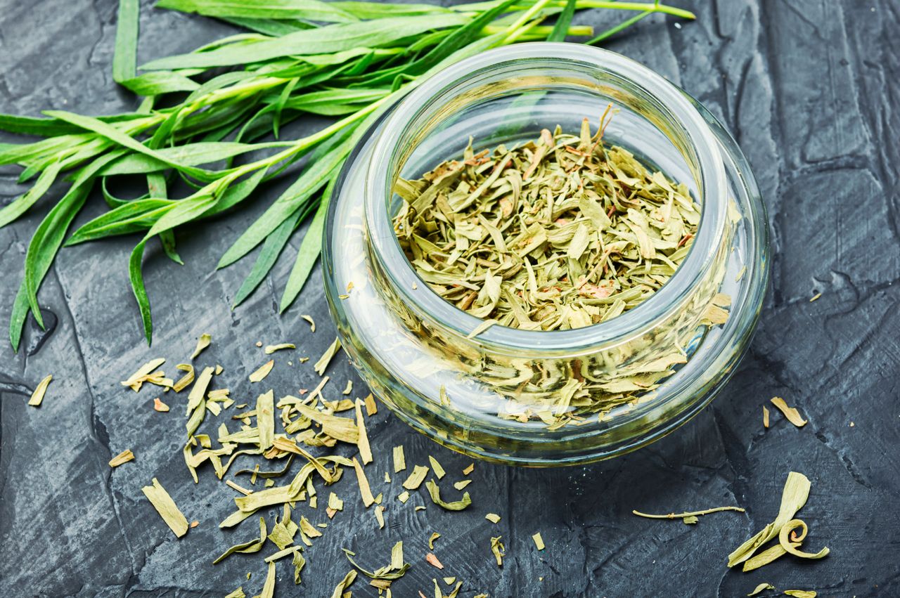 Tarragon – The Nutritional Herb with Multiple Health Benefits