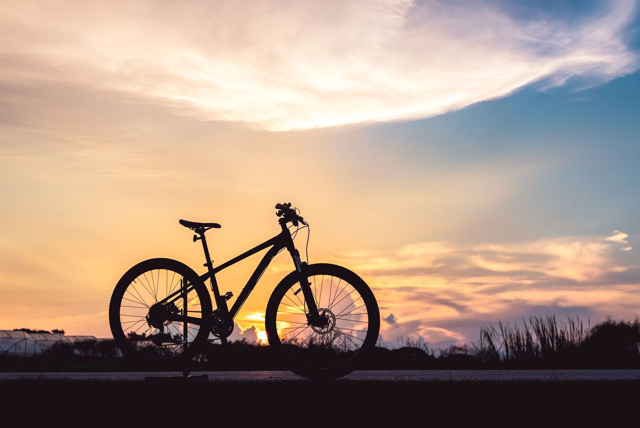 World Bicycle Day & Nutrition 