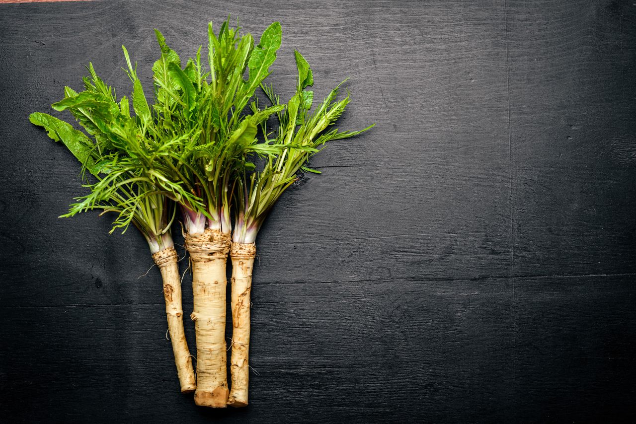 Horseradish – Nutrition, Benefits, Uses, and Side Effects