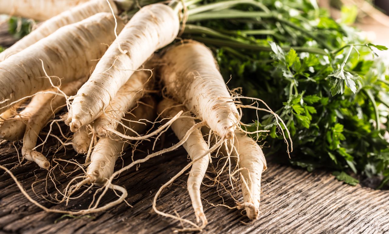Parsnip: Vegetable with the Goodness of Nutrients