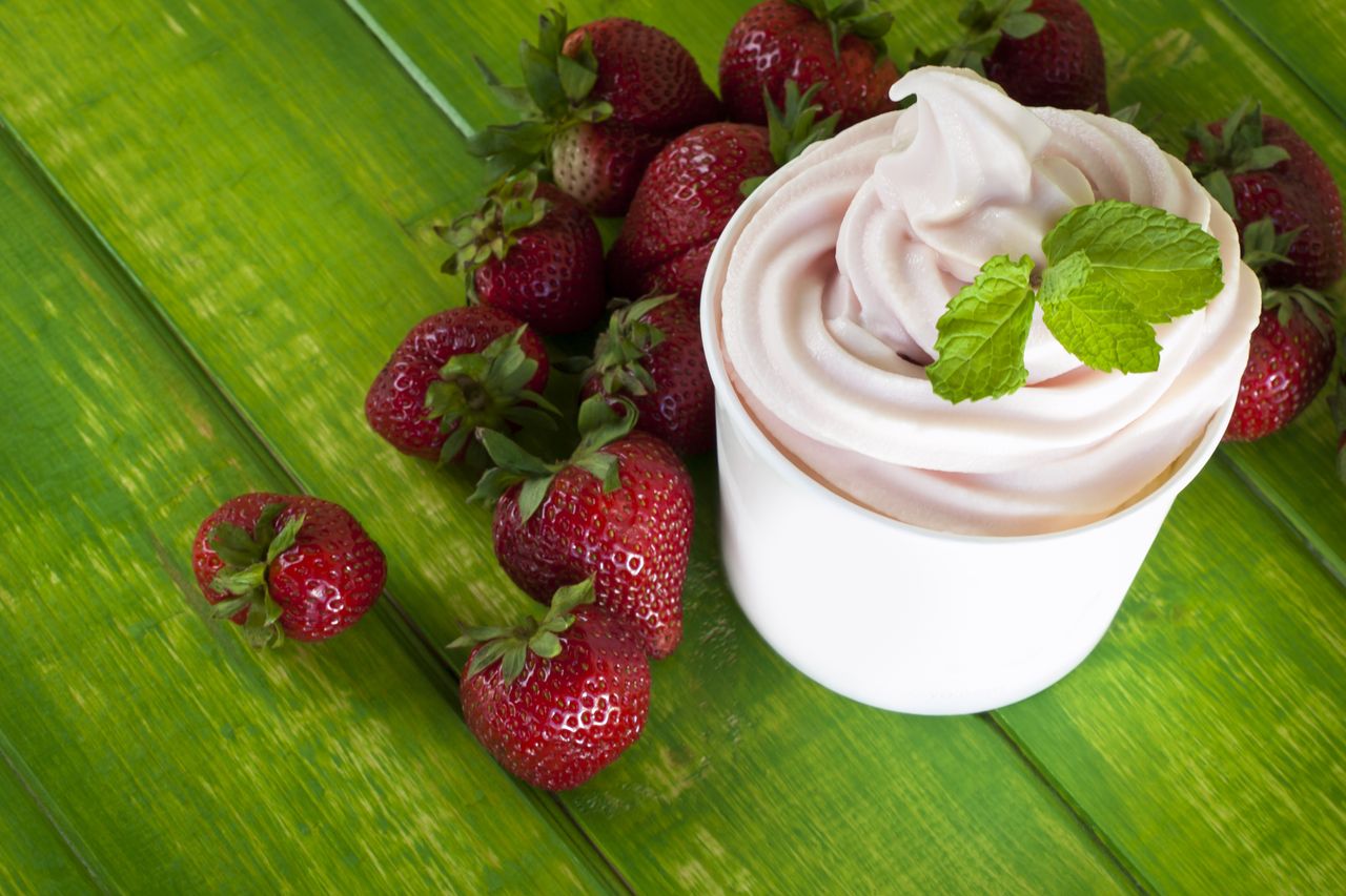 Frozen Yoghurt – A Complete Guide