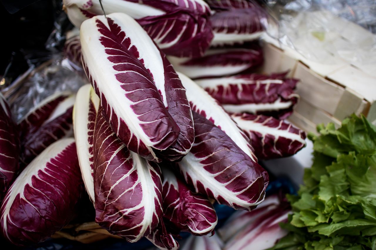 Radicchio – Nutrition, Health Benefits, and Recipes