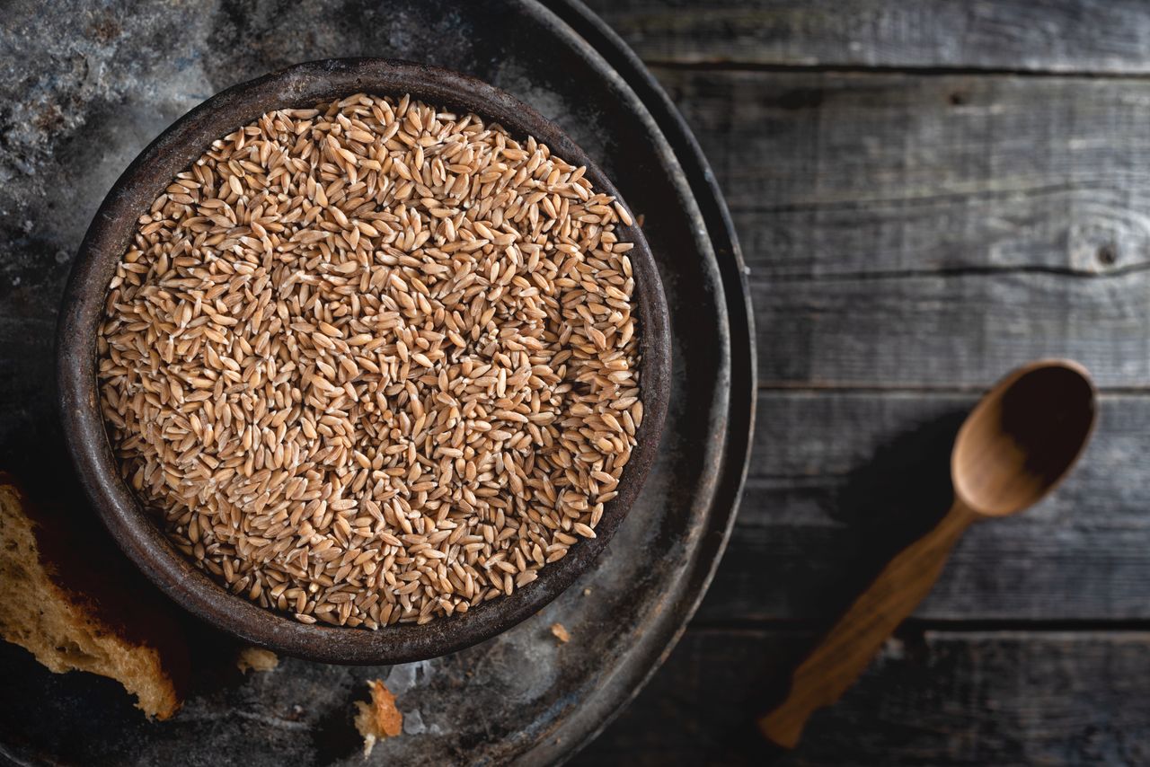 Kamut – The Ancient Egyptian Grain