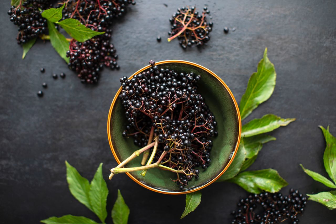 9 Amazing Elderberry Health Benefits That You Didn’t Know!
