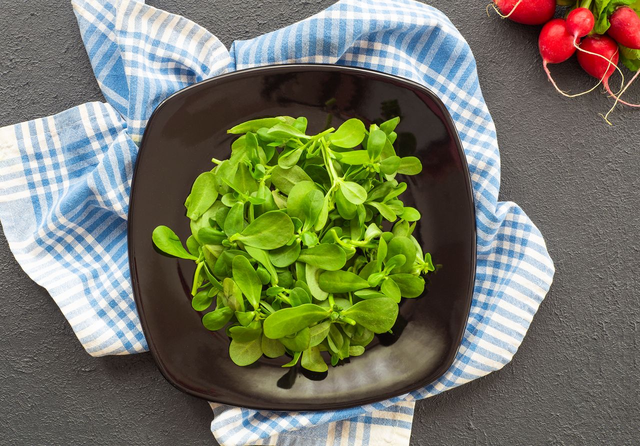 Purslane: A Nutritional and Medicinal Superfood