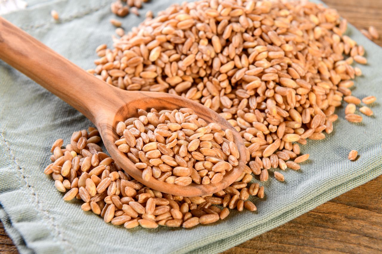Farro – Health Benefits of this Ancient Grain