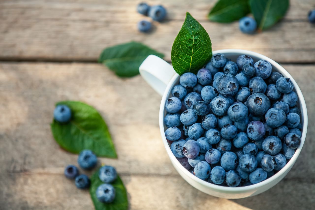 Bilberry: The Underrated Wonder Berry