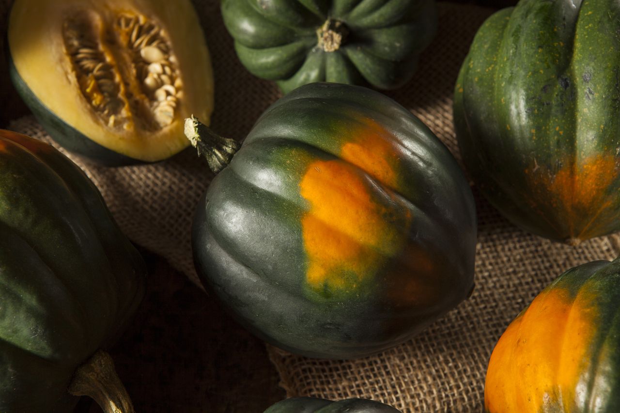 7 Raw Acorn Squash Health Benefits