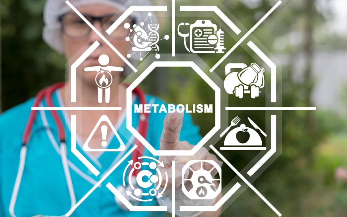 A Link Between Metabolic Health and The Brain