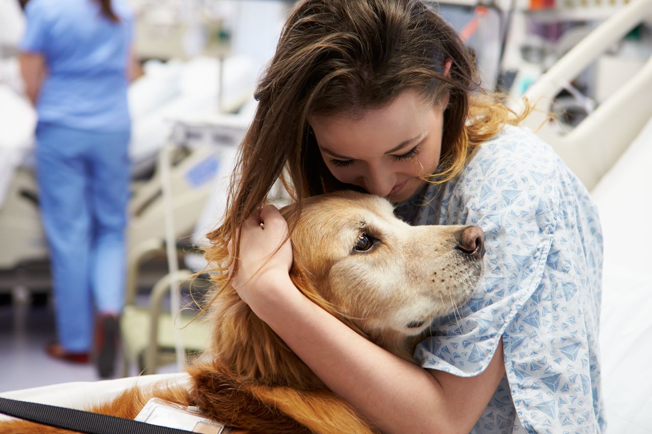 Animal Therapy – An Alternate Approach To Wellness
