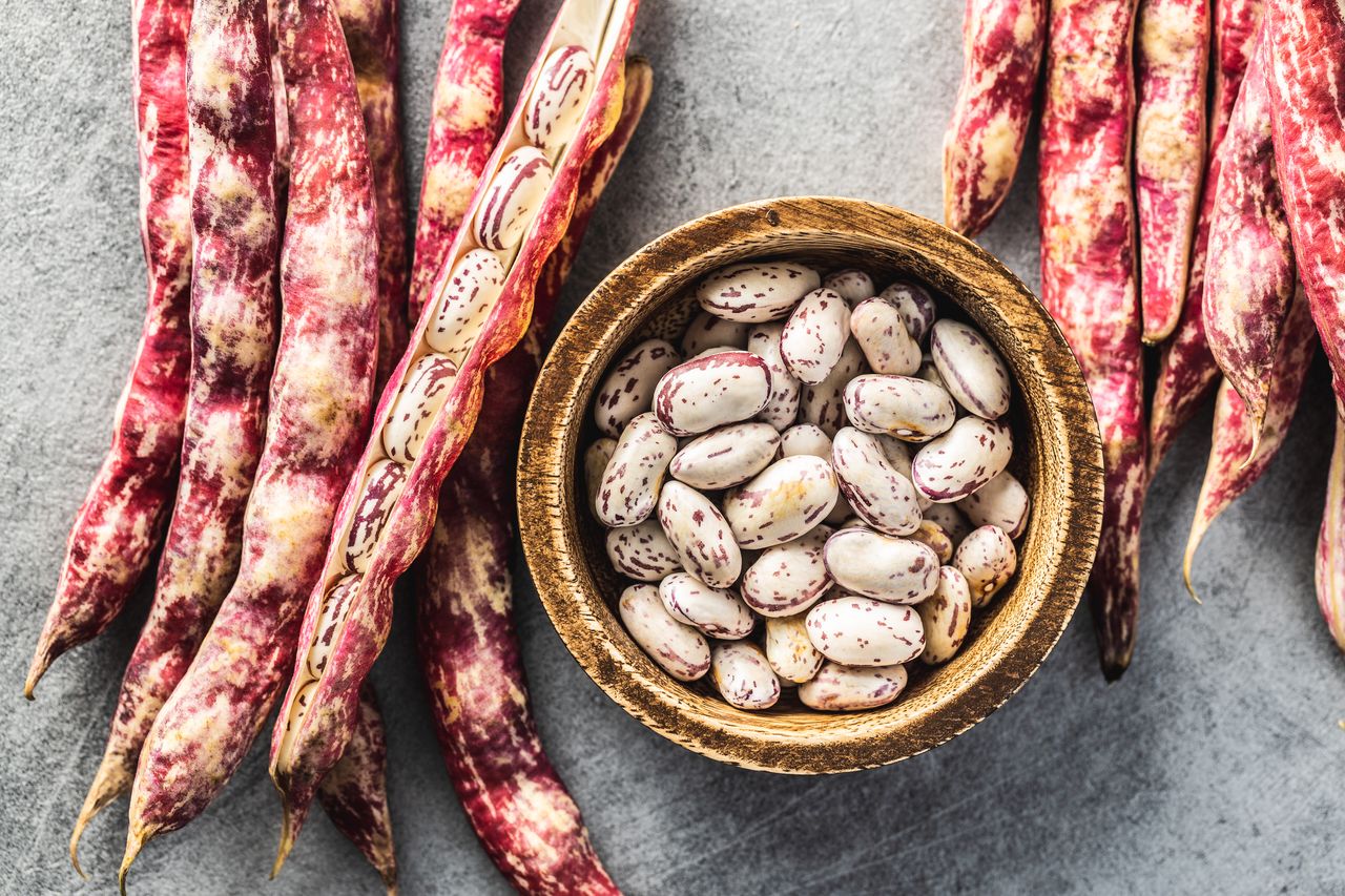 Is Cranberry Bean Good for You?
