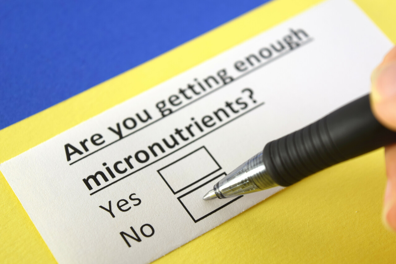 Micronutrients – Important Facts that You Should Know