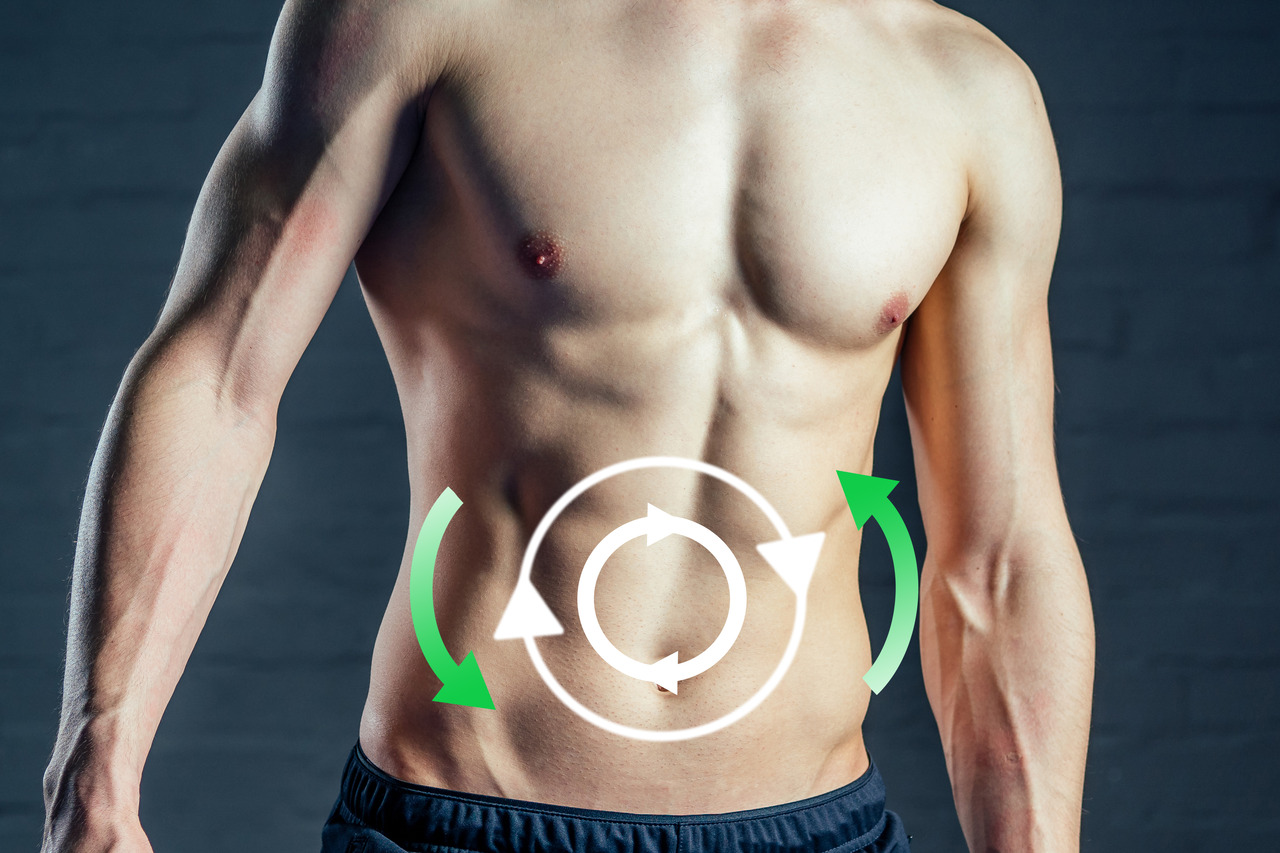What is Metabolic Rate? Here’s All You Need to Know