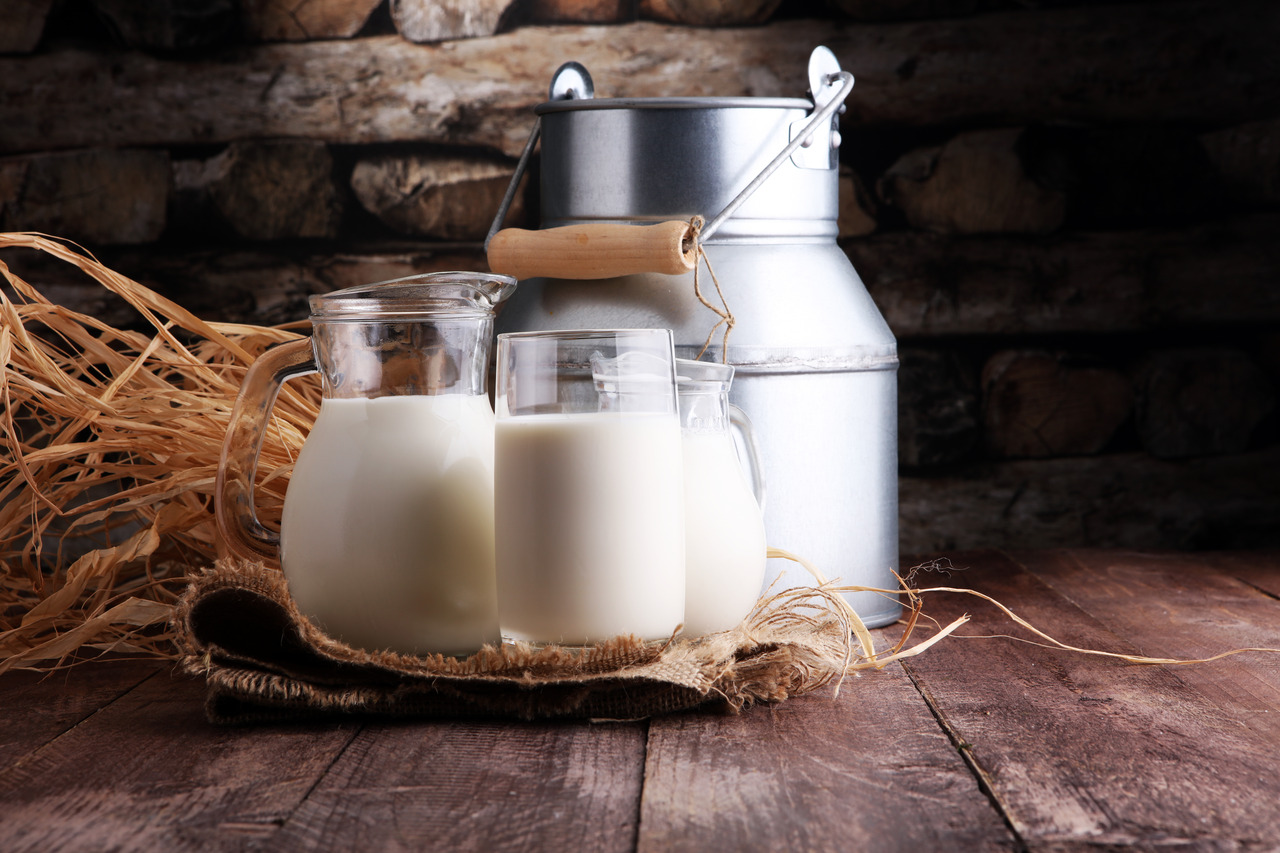 Buffalo Milk For Weight Loss — Finding the Facts