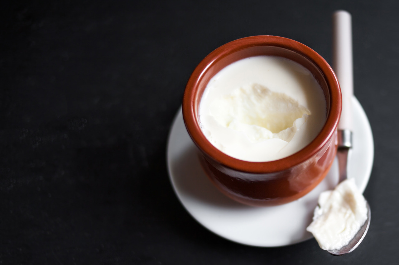 Is Curd Good for Weight Loss? Let’s Find out